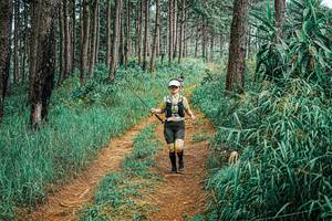 BIB: 
                            <button type="button" onclick="openModal(25699203)" class="btn btn-primary btn-sm float-right btn-popup" data-toggle="modal" data-target=".modal-high-quality">
                        <i class="fas fa-shopping-cart"></i> Add to Cart
                    </button>
                                            <button type="button" onclick="isThisMe(25699203, true)" class="btn btn-success btn-sm float-right btn-popup btn-isme hidden" data-toggle="tooltip" data-placement="bottom" title="นี่คือรูปของคุณใช่ไหม คลิกที่นี่เพื่อเอาเข้าอัลบั้ม">
                        <i class="fas fa-plus"></i> Add to album
                    </button>
                    <button type="button" onclick="isThisMe(25699203, false)" class="btn btn-warning btn-sm float-right btn-popup btn-isnotme hidden">
                        <i class="fas fa-ban"></i> Remove from album
                    </button>